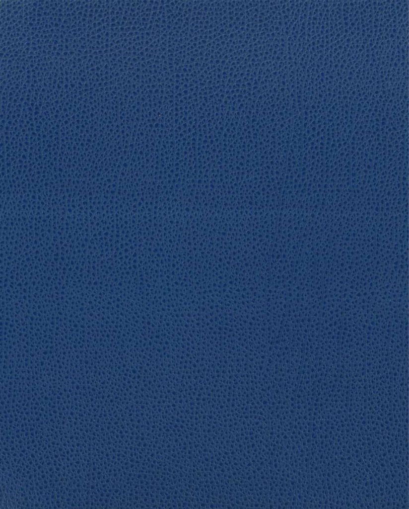 Funda Tablet 10" universal colores efecto piel