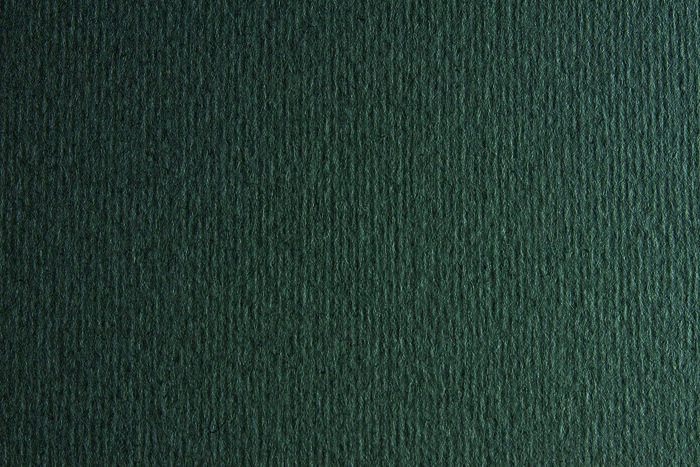 CARTULINA LISO/RUGOSO FERRO 50x70 220GRS