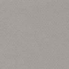 Paquete 25 hojas mi-teintes color gris claro 50x65 185