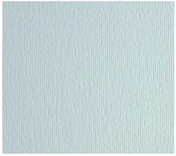 [42450700] CARTULINA LISO/RUGOSO BIANCO 50x70 220GRS