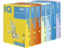 [130114] Mon p.500h. Iq color 80g A4 am ye23A480