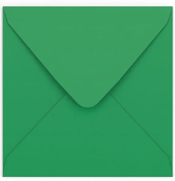 Sobre verde clairefontaine 165x165